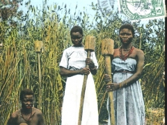 Ovambo-Frauen beim Kornstdampfen