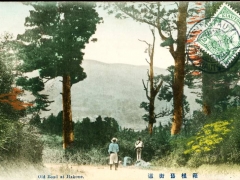 old Road at Hakone