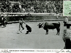 Touradas Portuguezas Simulando a morte do touro