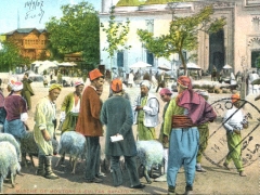 Marche de Moutons a Sultan Bayazid