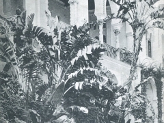 Alger Mustapha Superieur la Palais du Gouverneur
