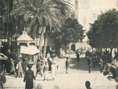 Alger Palmiers Place du Gouvernement