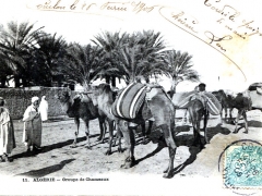 Algerie Groupe de Chameaux