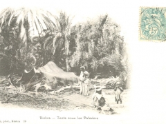 Biskra Tente sous les Palmiers