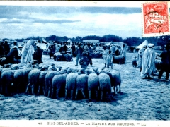 Sidi-Bel-Abbes-Le-Marche-aux-Moutons