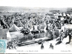 Timgad Le Marche Arabe
