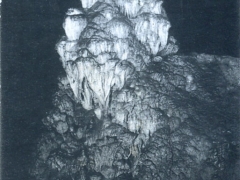 Grotte de Han Le Boudoir de Proserpine