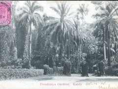 Kandy Peradeniya Gardens