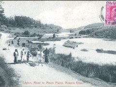 Road to Moon Plains Nuwara Eliya