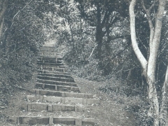 Barry Porthkerry Park Goldn Stairs