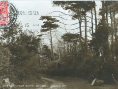 Bexhill at Collington Wood