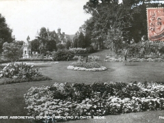 Ipswich upper Arboretum showing Flower Beds