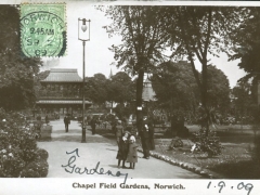 Norwich Chape Field Gardens