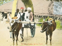 Indien Bullock Cart