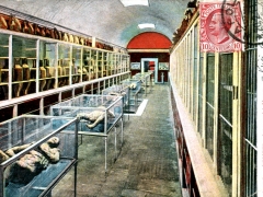 Pompei Interno del Museo