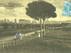 Roma Via Appia Nuova Avanzi dell'Acquedotto di Claudio