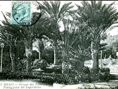 San Remo Groupe des Palmiers Passeggiata del Imperatrice
