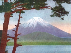 Fuji-from-Shojinlake-Kai