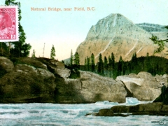 Field-Natural-Bridge