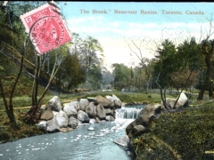 Toronto the Brook Recervoir Ravine