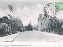 Ruines de Lützelburg