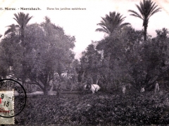 Marrakech Dans les jardins extertieurs