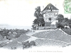 Chateau de Chatelard pres Clarens