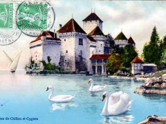 Chateau de Chillon et Cygnes