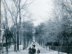 Geneve Avenue des Bastions