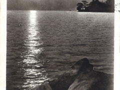 Lac Leman Au clair de lune