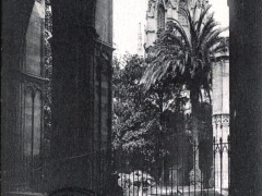 Barcelona Catedral Claustro y Cimborio