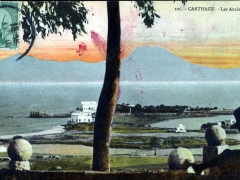 Carthage Les Anciens Ports