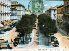 Tunis Avenue de France