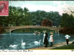 New-York-Swan-Pond-Central-Park
