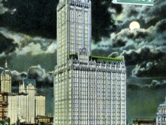 New York Woolworth Building at Night