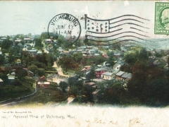 Vicksburg General View
