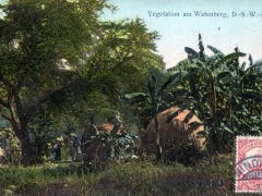 Vegetation am Watenberg