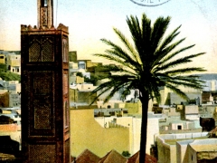 Le-grande-Mosquee