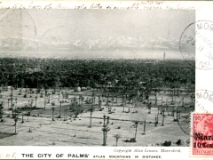 The City of Palms