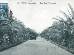 Faro Alameda Rua das Palmeiras