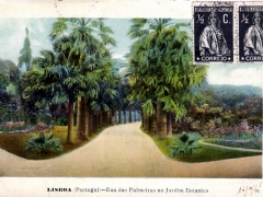 Lisboa Rua das Palmeiras no Jardim Botanico