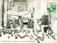 Constantinople Les pigeons de la Mosquee du Sultan Bayazid
