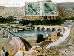 Pont du Fleuve du Chien