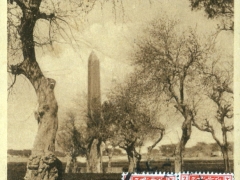 Cairo-the-Obelisk-of-Matarich