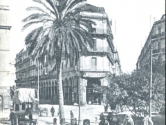 Alger Rue de la Liberte le Palmier