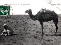 Algerie La Priere au desert
