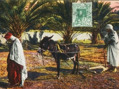 Labourage Femme arabe trainant la charrue
