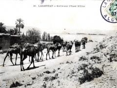 Laghouat Sortie sur l'Oued M'Zibe