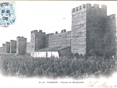 Tlemcen Ruines de Mansourah