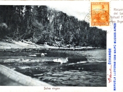 Recuerdo del Lago Iahuel Huapi Selva virgen